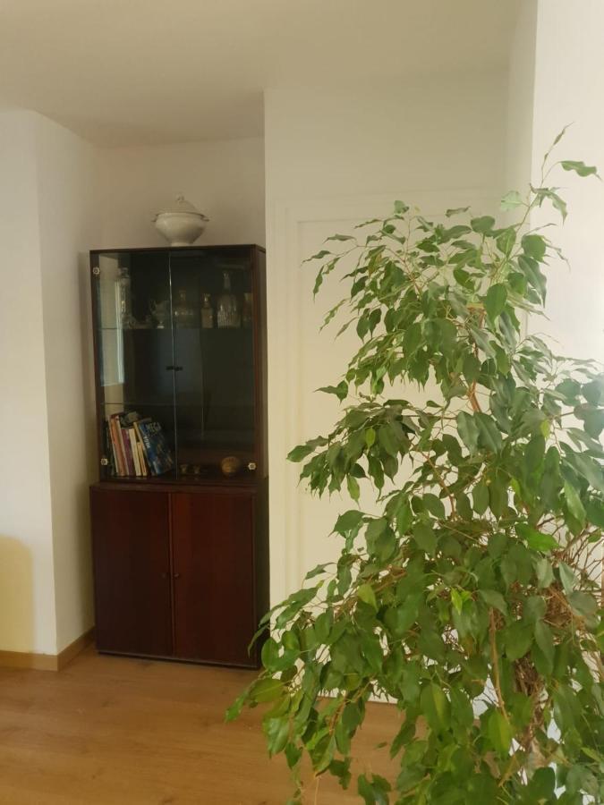 Appartement Cosy Parc Thermal โทนง-เลส์-แบงส์ ภายนอก รูปภาพ